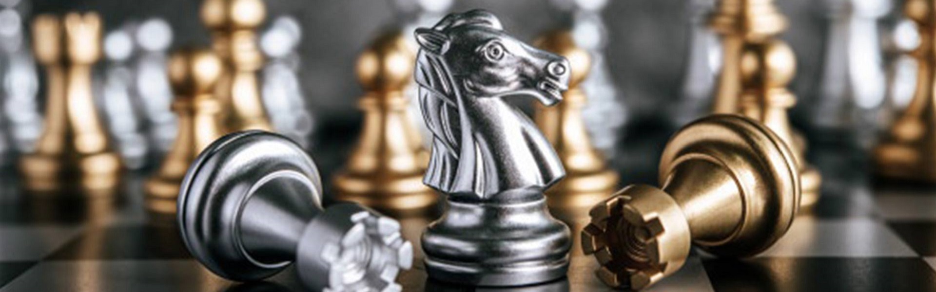 Royal Car Rental Group | Izanajmljivanje kombija Beograd | Chess Lessons